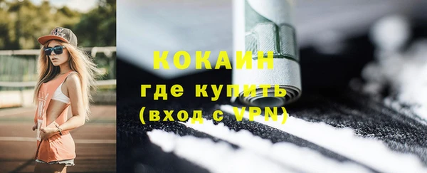 шишки Абинск