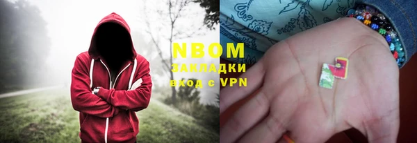 шишки Абинск