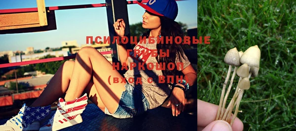 шишки Абинск