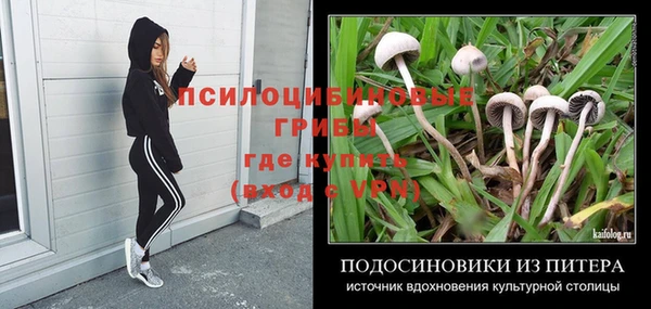 прущий лед Абаза