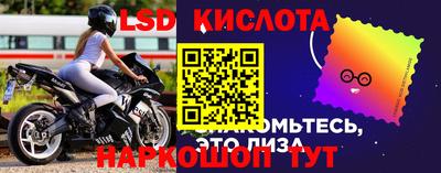 СК Тулун