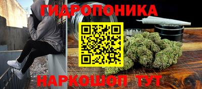 СК Тулун