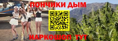 крисы Тула