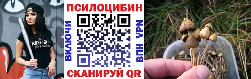 Галлюциногенные грибы мухоморы  где купить наркоту  Аксай 