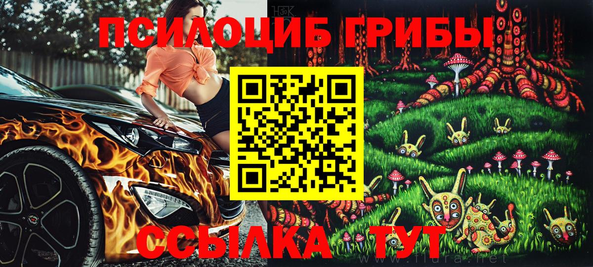 Аксай  Псилоцибиновые грибы GOLDEN TEACHER  Вход с VPN 