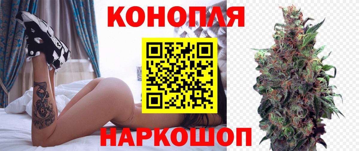 Канабис сатива Аксай